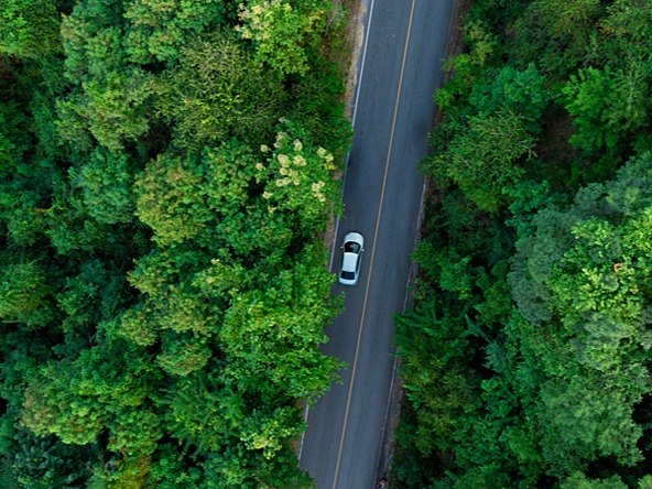 electric car on road surrounded by trees
